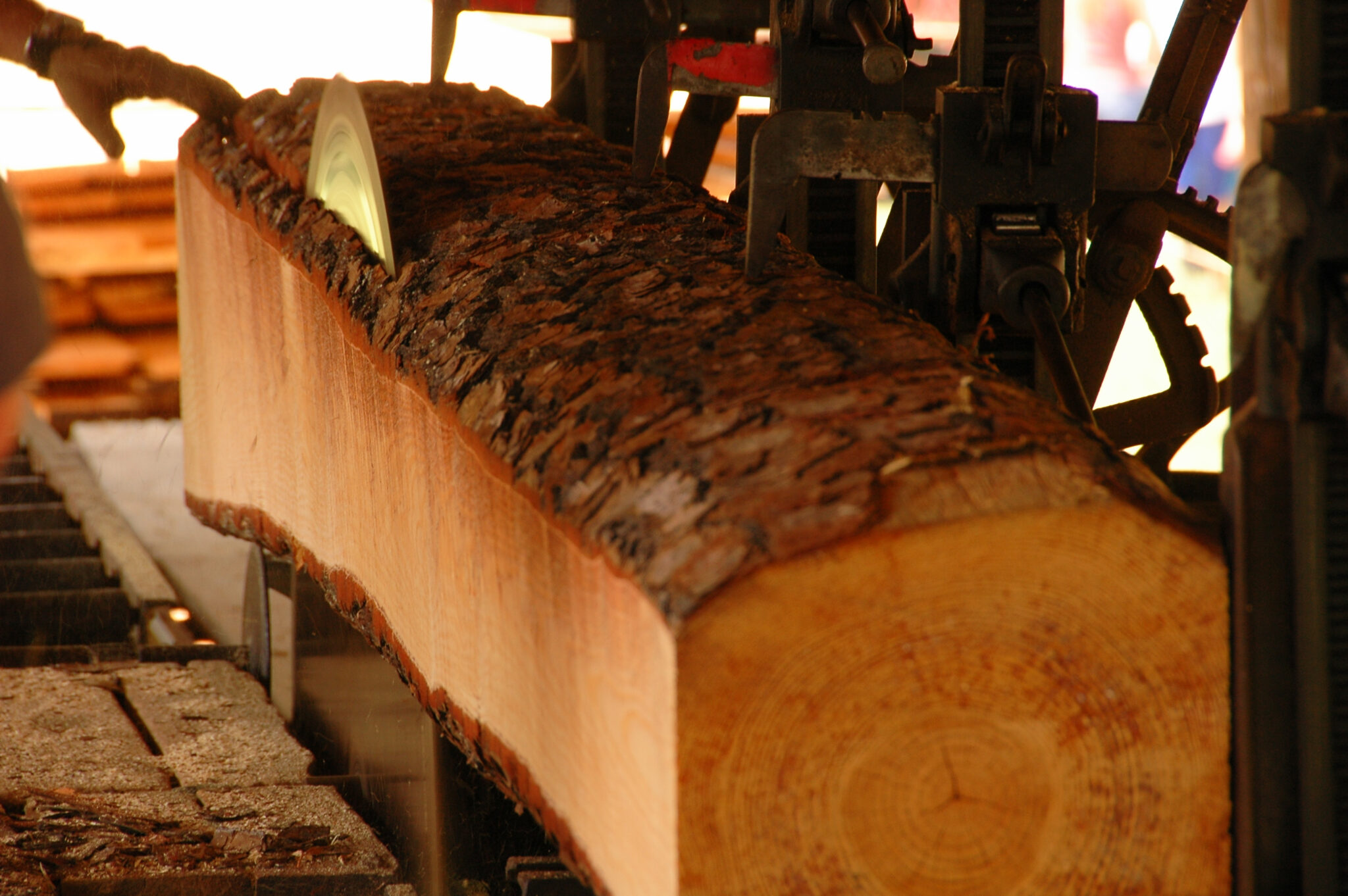 Saw Mill Cutting Log
