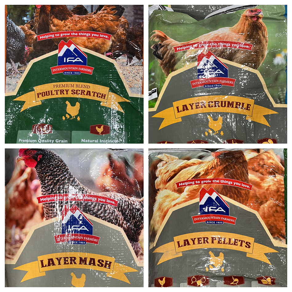 Collage of various chicken foods at ACE