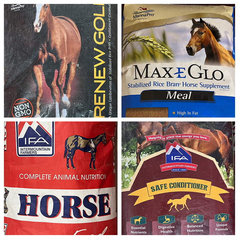Collage of various horse food offered at ACE